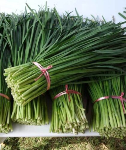 How to cook chives asian style