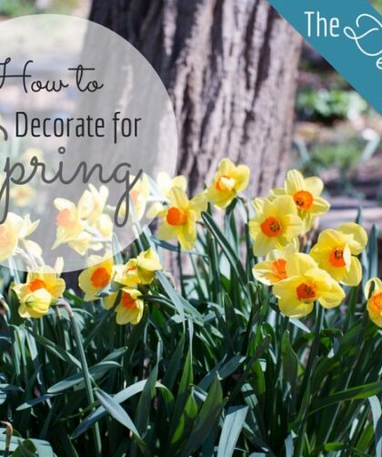 When do you start decorating for spring