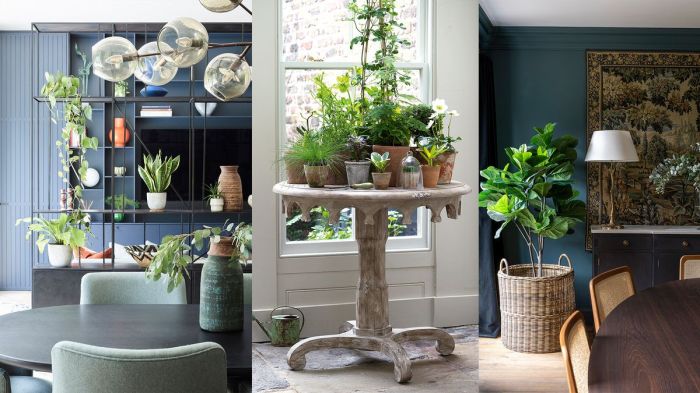 How to decorate living room with plants