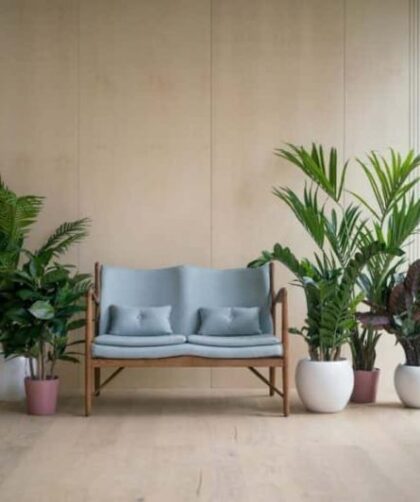 How to decorate living room with plants