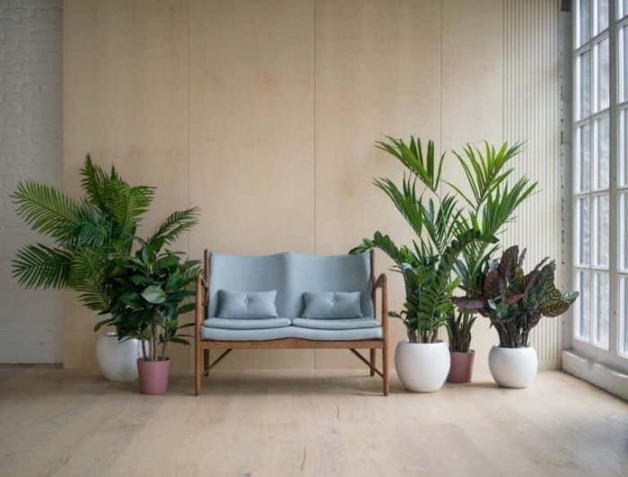 How to decorate living room with plants